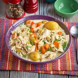 Belgian Waterzooi Chicken