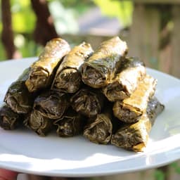 Stuffed Grape Leaves